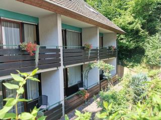 Hotel Suggenbad - Waldkirch - 7