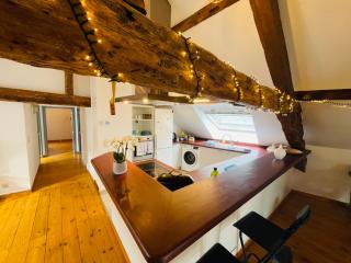 Down Town Spacious Loft with Private Parking - Bruxelles - 9