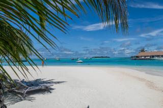 Holiday Inn Resort Kandooma Maldives - Kids Stay & Eat Free and DIVE FREE for Certified Divers for a minimum 3 nights stay - Guraidhoo - 8