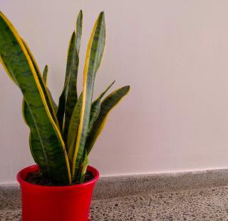 Vironos extra bright apartment - Front park and monastery - Atene - 6