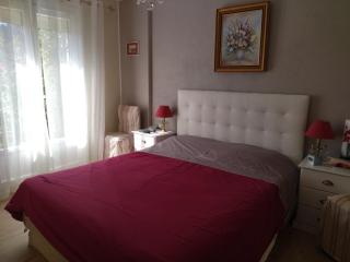 les petites roches - Saint-Fortunat-sur-Eyrieux - 7