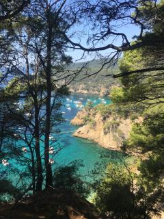 Studio cosy proche mer - Saint-Cyr-sur-Mer - 0