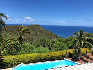 Villa spa Grand Anse - Petite Île - 8