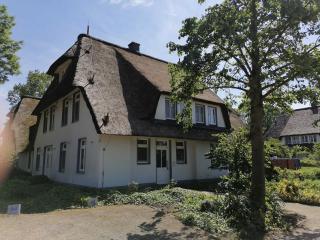Landhaus am Haff Fewo A 12 - Stolpe auf Usedom - 9