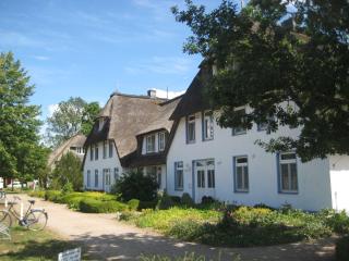Landhaus am Haff Fewo A 12 - Stolpe auf Usedom - 6