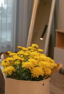 Луксозно студио One Place in Sofia A1 - Лозенец - 6