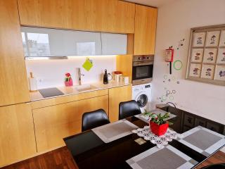 Unique Penthouse Porto near Livaria Lello - 40m2 Terrace and Free Parking - Porto - 1