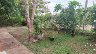 Chácara Pousada Sagui - Cuiabá - 9
