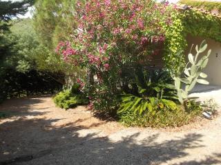 Magnifique villa piscine billard Great villa swimming pool - Banyuls-sur-Mer - 7