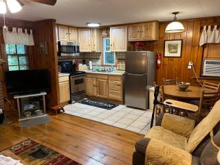 Cozy Cabin Pet Friendly ADA Compatible - Maggie Valley - 9