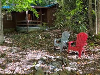 Cozy Cabin Pet Friendly ADA Compatible - Maggie Valley - 8