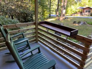 Cozy Cabin Pet Friendly ADA Compatible - Maggie Valley - 3