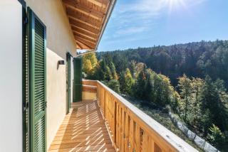 Hof im Thal Apt Lärche - 7