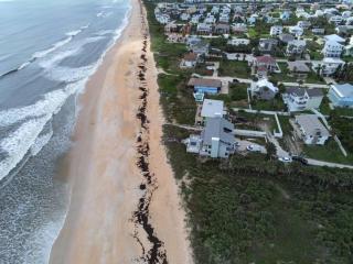 Tipsy Turtle Direct Oceanfront - Palm Coast - 9