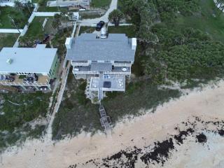 Tipsy Turtle Direct Oceanfront - Palm Coast - 8