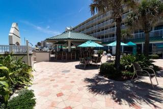 Driftwood Dreams at the Beach - 2