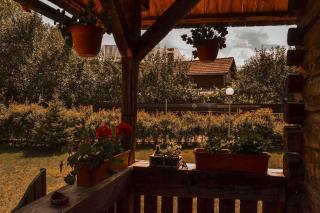 Căsuța “La Bubuțu” - Câmpulung Moldovenesc - 3
