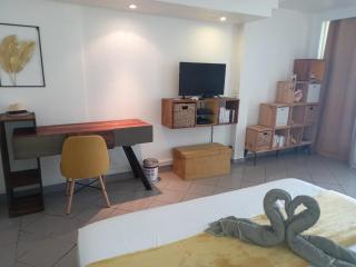 Grand studio de 41 m2 vue mer citerne - 3
