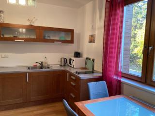 Studio Apartment Michael - Špindlerův Mlýn - 6