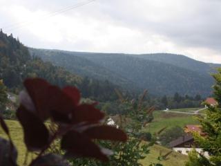 Gîte à Gérardmer - Proche lac et pistes, Chem cheminée, 2 chambres - FR-1-589-108 - 9