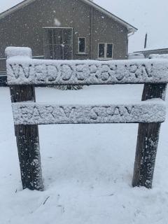 Wedderburn Farm Stay - 0