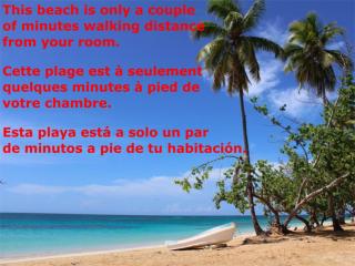 Dream Glamping Jungle Bohio - Las Terrenas - 6