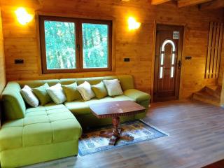 Kuća u šumi - Forest house near National park Una - Air Spa Lohovo - Bihać - 2