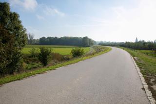 Das Reinisch Just Rooms - Schwechat - 2