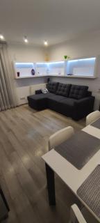 Apartament CENTRUM - Sosnowiec - 7