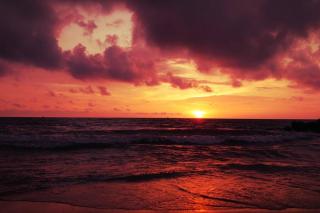 Theeraa Beach Villa in Cherai - Cherai Beach - 2