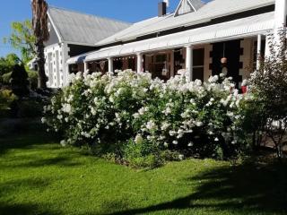 KAROOWERF GUEST HOUSE - Cradock - 8