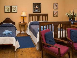 KAROOWERF GUEST HOUSE - Cradock - 5