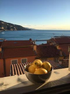 Duplex vue mer 50m de la plage des Sablettes - Mentone - 6
