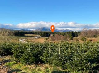 The Lodge at Muir Estate - 8