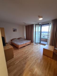 Villa Mari - apartma št. 6 - Maribor - 9