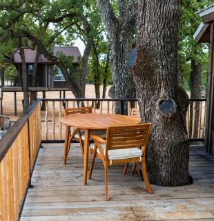 Cedar Waxwing Treehouse15 MIN to MagnoliaBaylor - - 8