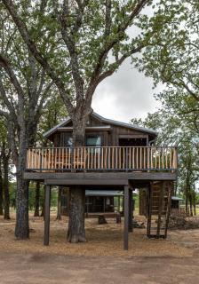 Cedar Waxwing Treehouse15 MIN to MagnoliaBaylor - - 7