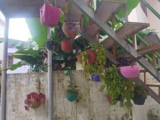 Jayuz Homestay & Foodies - Kozhikode - 6