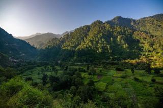 StayVista at Spirits Unplugged with Outdoor Pool - Karyali - 3