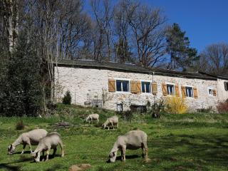 Afbeelding van de locatie