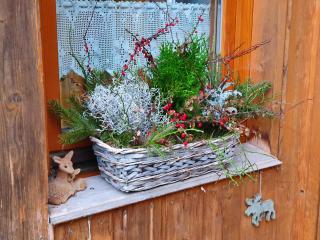 Haus Irina & Haus Anna - Elend - 6