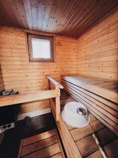 Rieskapaikka - Koivu - 3