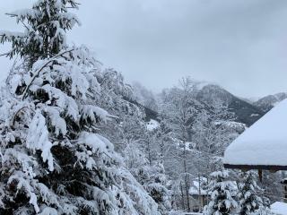 Alpenvilla Berchtesgaden Appartements - 2