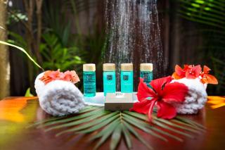 Tet Rouge Resort - Soufriere - 4