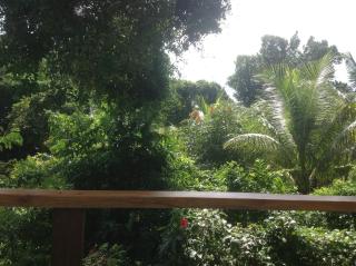 Pousada VillaBahia - 3