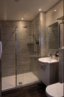 The Teifi Waterside Hotel - Cardigan - 3