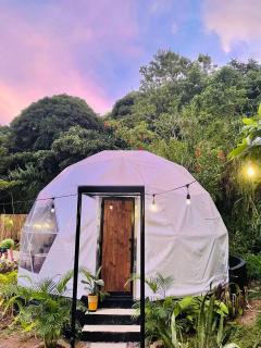 Blackwood Nature Villa with Pool and Trail - 8