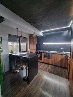 Eclipsei ApartHotel - Popeşti-Leordeni - 5
