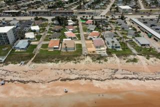 3 bedroom 2 bath home walking distance to beach - Ormond Beach - 6