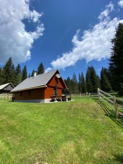 Cosy Chalet on Pokljuka - Brunarica Tinkara - 3